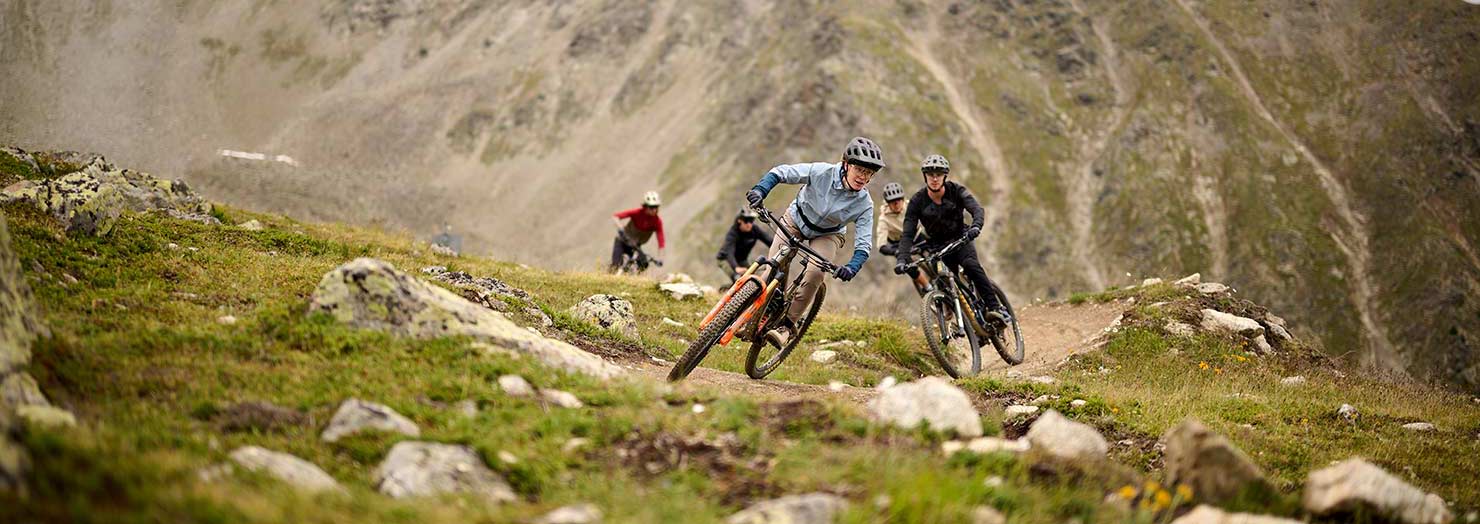 Bikers on a green meadow in front of mountains